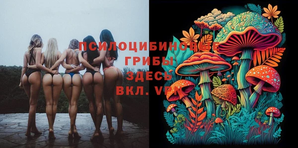 каннабис Алзамай