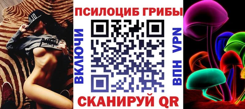 купить наркотик  Калининск  Псилоцибиновые грибы Magic Shrooms 
